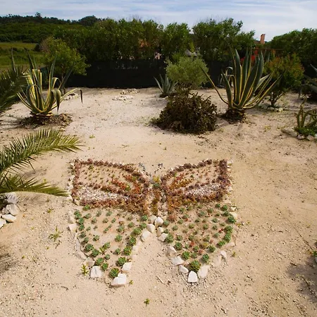 Refugio De Alma Em Flor Quinta Privada Com Piscina Nazaré