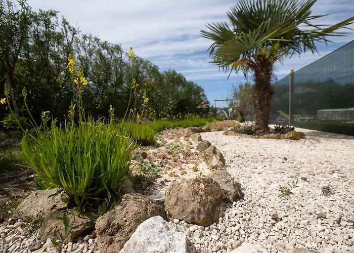 Refugio De Alma Em Flor Quinta Privada Com Piscina 度假居 *