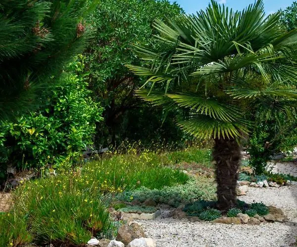 Refugio De Alma Em Flor Quinta Privada Com Piscina 纳扎雷